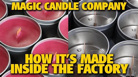Magic canfle company oils